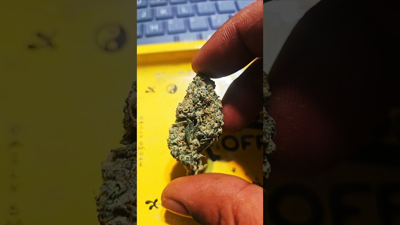 ДНЕВНОЕ НАСЛАЖДЕНИЕ #4 от RYTHM