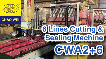 Double Layers 6 Lines Plastic Bag Making Machine  | CHAO WEI: CWA2+6-800-SV /CWA2+6-1000-SV