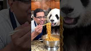 These panda eats food 🍗#