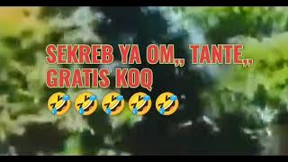 karaoke Batak DANG SALA MARNINGOT @juantoba869