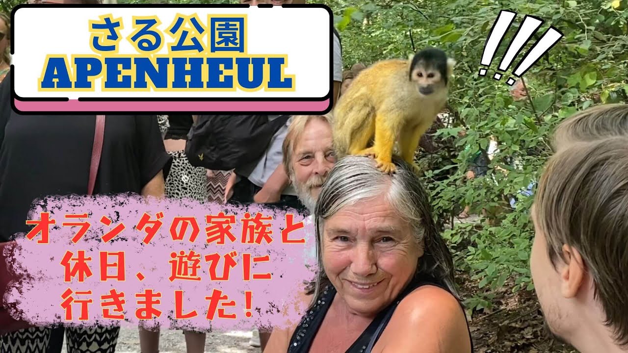 サルが乗ってくる公園｜A park where monkeys jump on your head