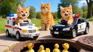 Mama Cat Trims Fur on the Farm and Makes Tiger Hat For Kittens At Home🐾🎩🐯