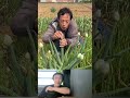He hid the money in the flower #viral #funny #youtubeshorts #trolllife #laugher #comedy #prank #art