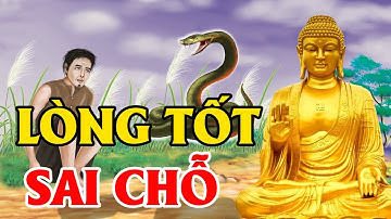 Lòng Tốt Đặt Sai Chỗ Sẽ Tổn Phước, Không Phải Lúc Nào Lòng Tốt Cũng Đúng | Phật Giáo Nhiệm Màu
