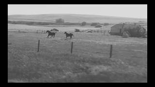 Sunglaciers // Ballad for Eddy [Official Video]