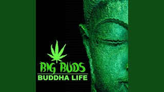 Buddha Life