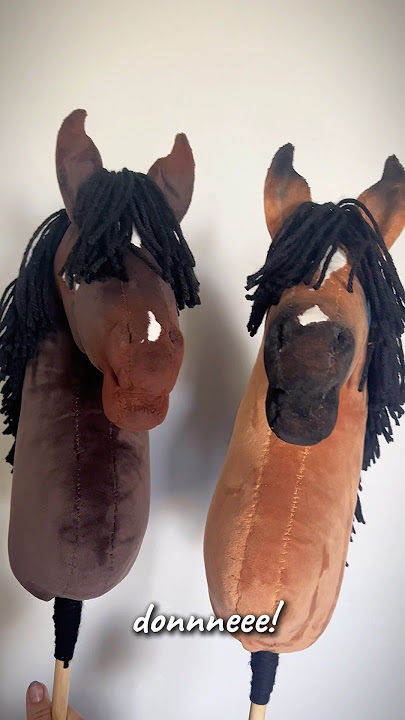 make hobby horses w me!! #horse #hobbyhorse #roadto1k #fyp #dontflop