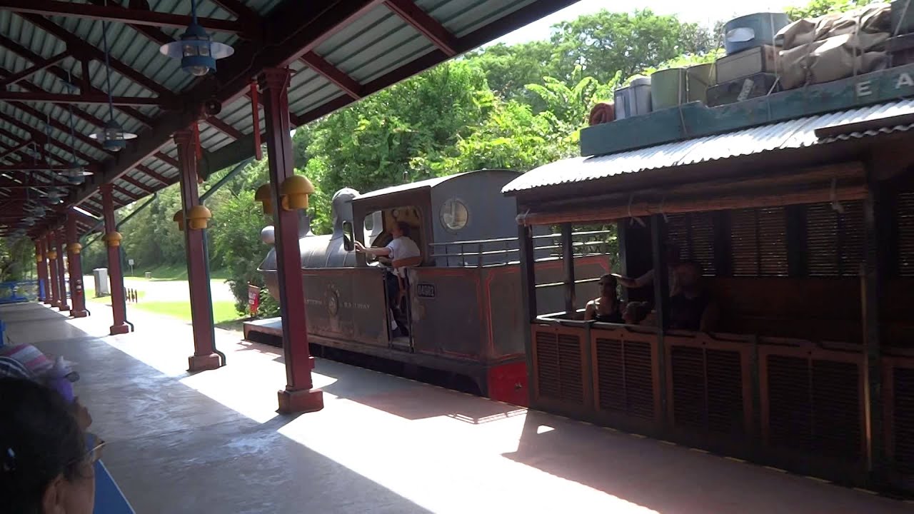 Train to petting zoo animal kingdom YouTube