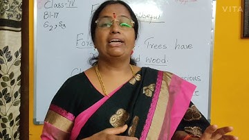 class 4 block 17 s2 & s3 social studies