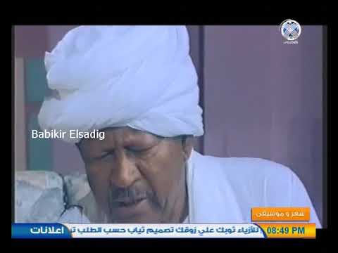الشاعر صديق مدثر قصيدة الحبيب العائد