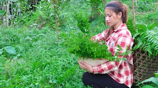 Pick up vegetables to bring to the market sell - neighbors help me build a new house - trieu lily