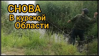 И снова рыбалка в курской области в гостях У Петровича.