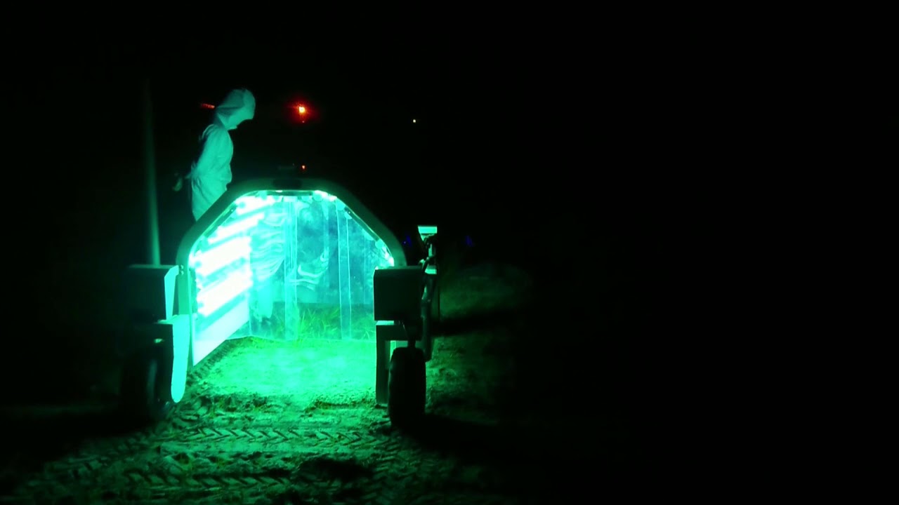 UV treatment of strawberries with self-driving Thorvald robot in Florida, USA