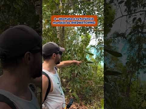 5 motivos pq vc PRECISA conhecer UBATUBA