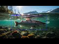 Detecting Fish Stress with AI. My YOLO Computer Vision Project