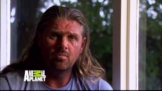 Animal Planet Hd Germany Adverts & Idents 11.11.2013