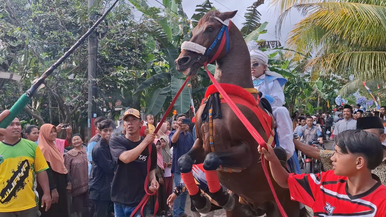 Kuda Pilihan Terbaik Ada Di Arak Arakan Luweng Kidul ‼️