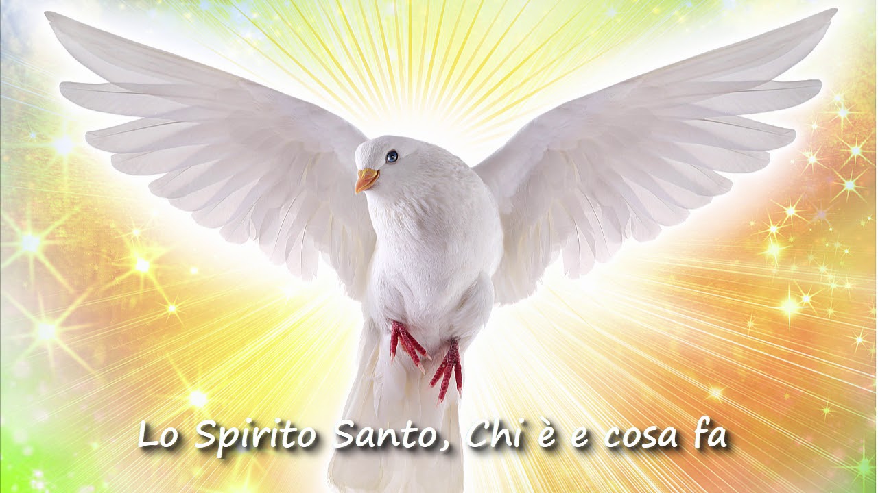 Cosa Fa Lo Spirito Santo Lo Spirito Santo, Chi è e cosa fa - omelia di p.Pablo Martin Sanguiao
