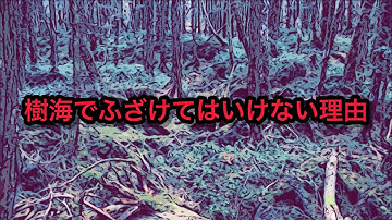 樹海でふざけてはいけない理由 元山梨住みます芸人ナッパ芸人ぴっかり高木 #樹海 #樹海村 #山梨 #山梨県 #住みます芸人 #ナッパ #ぴっかり高木 #富士山 #fuji #mountfuji