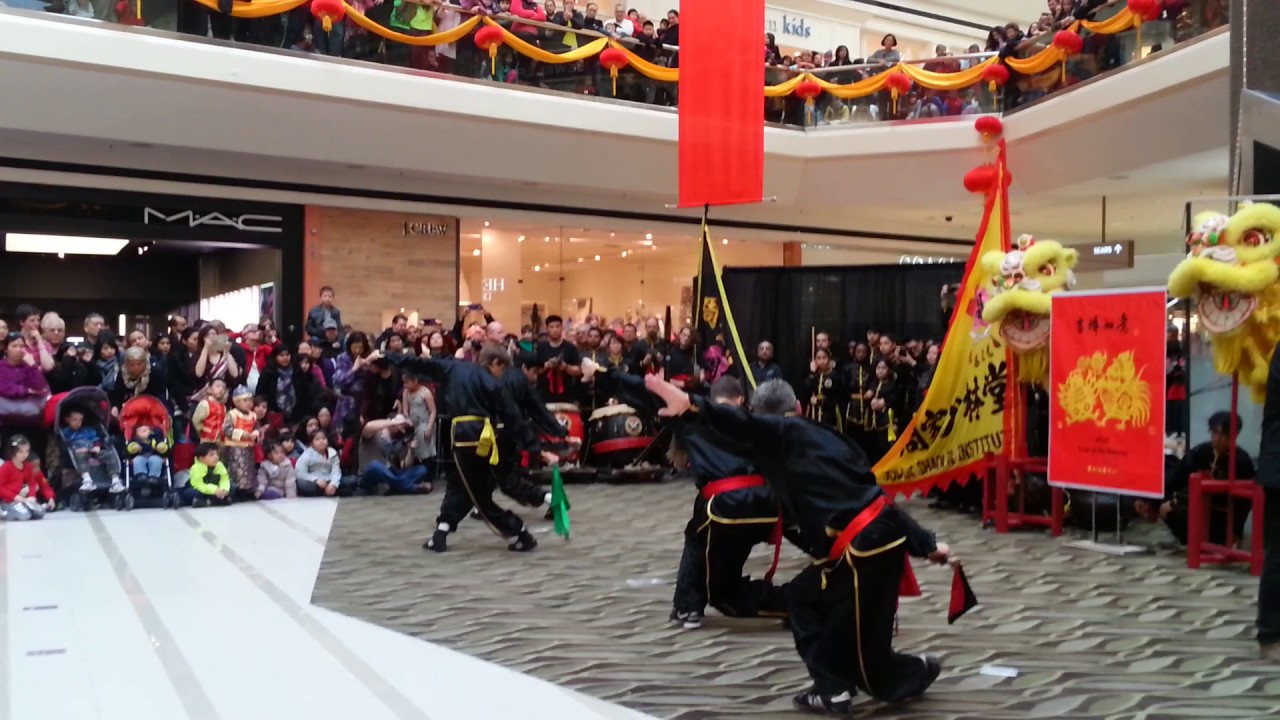 Martial Arts Performance (Lunar New Year Festival at Fair Oaks) YouTube