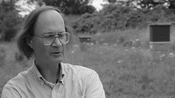 Swarm Intelligence with Tom Seeley