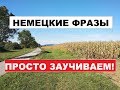 НЕМЕЦКИЕ ФРАЗЫ, ПРОСТО ЗАУЧИВАЕМ