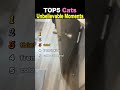 TOP5 Cats Unbelievable Moments