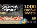 1000 cudów świata - Rezerwaty Biosfery Celestun