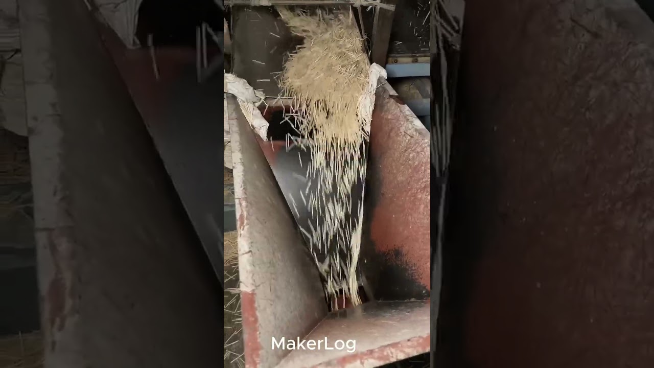 The Matchstick Manufacturing Process in Factories | Step-by-Step Production