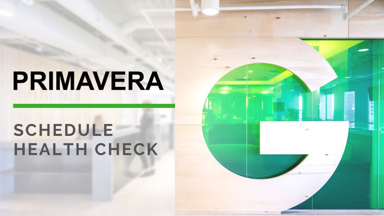 PRIMAVERA - Schedule Health Check