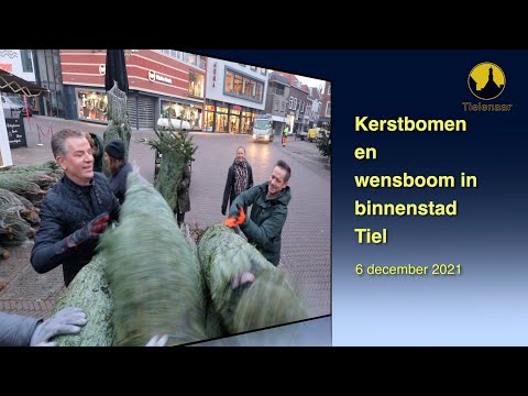 20211206 Tiel Kerstbomen Promenade