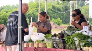 Northwoods Experience: Lakes Area Grower's Market Offers Homegrown Connections to Brainerd Area