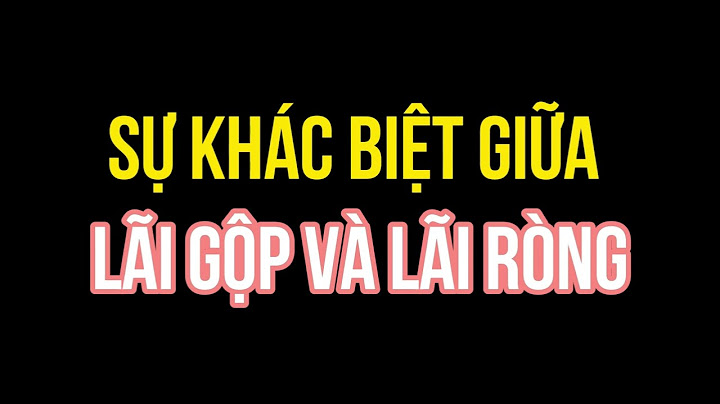 Lãi ròng và lãi gộp là gì năm 2024