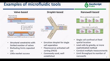 Single B Cell Screening: A Fully Automated and High-Speed Platform for Antibody Discovery