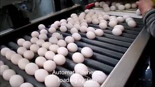 DAMTECH Optipack 140 farmpacker 50.000 Eph Guide