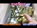#ขวด รังนก อุปกรณ์รังนก by นครรรังนก 0858277198