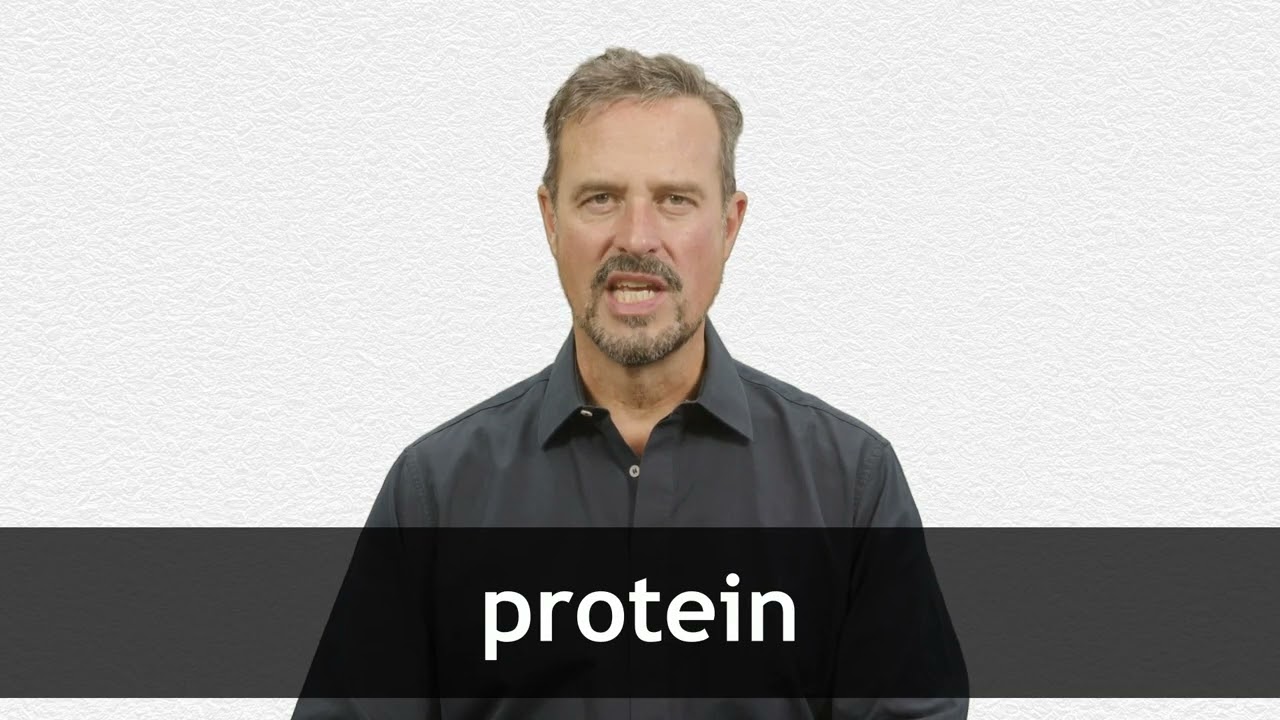 How to pronounce PROTEIN in American English
