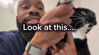 Why do we show our cats things like they actually care?!