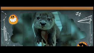 Article Corner: Here’s how sea otters stay warm without blubber or a large body