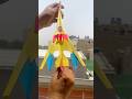 Jet Star Cruise Paper Airplane Speedy Fly In The Sky