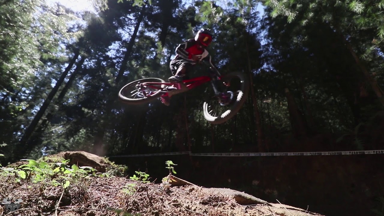 Trailer sobre el Downhill y Enduro  2019