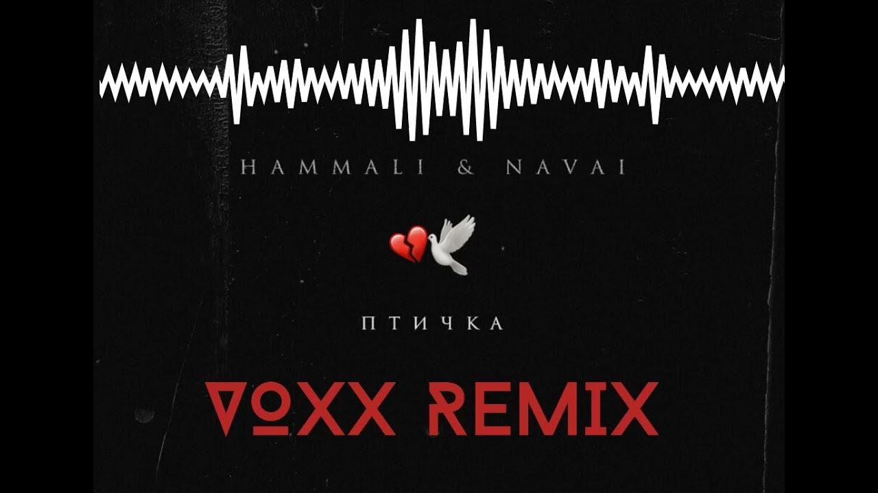 песня птицы ремикс. Hammali navai птичка remix. Vaikas. песня птицы ремикс. игорь одинокий россия 24.