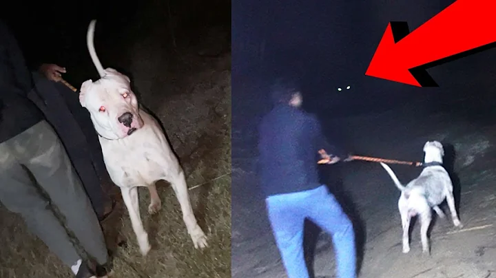 Hunter ko sach me bhoot dikh gaya
