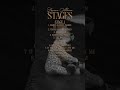 Tracklist for my upcoming album “Stages” 🖤 Should I give y’all a little sneak peek tonight?#newmusic