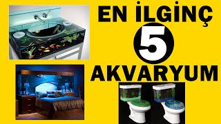 EN İLGİNÇ 5 AKVARYUM !
