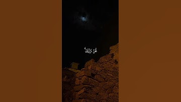 "تلاوة مميزة تأسر القلوب | الشيخ عبدالله الموسى" 🤍