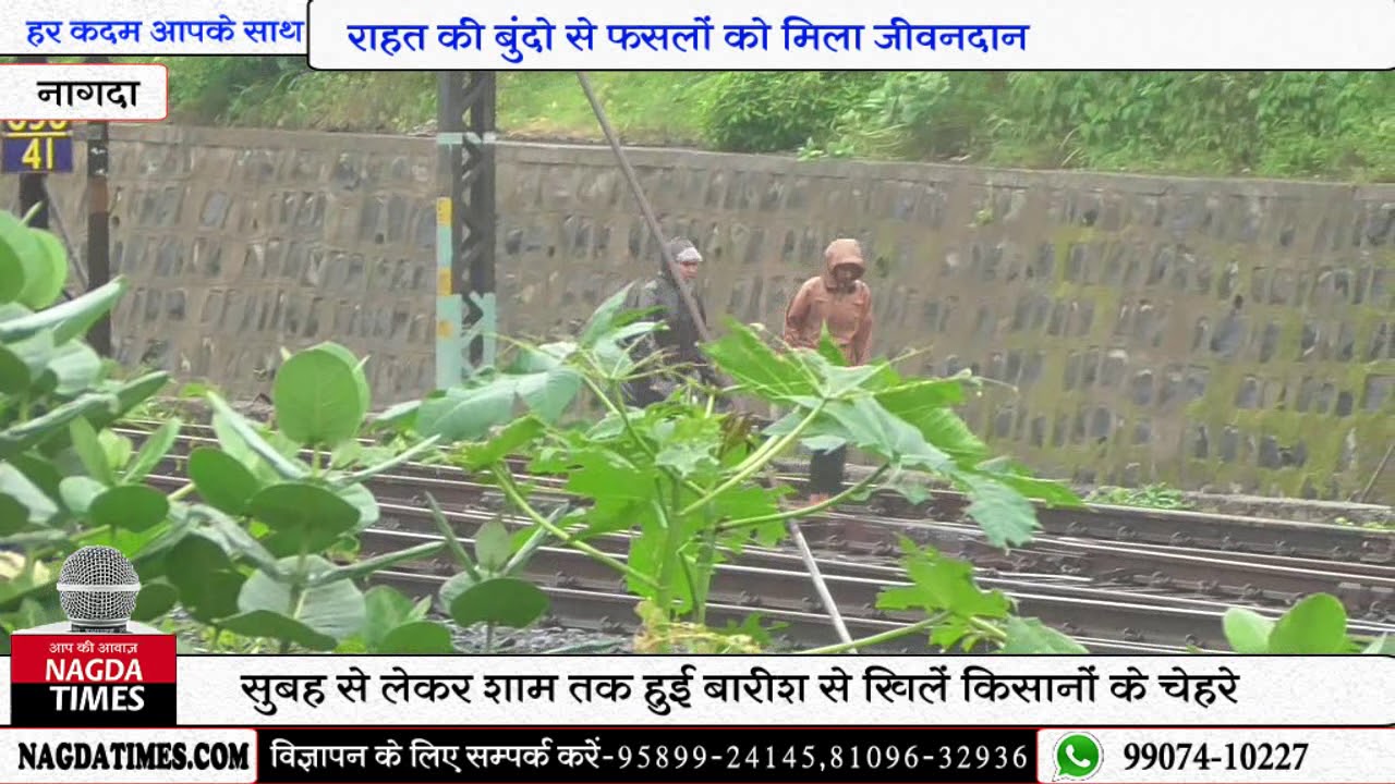 राहत की बूंदों ने फसलों को दिया नया जीवन, किसानों को फिर बंदी अच्छी बारिश की उम्मीद camera iphone 8 plus apk