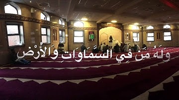 ما تيسر من سورة الأنبياء - بدر البشر