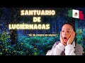 EXTRANJERA REACCIONA a SANTUARIO DE LUCIÉRNAGAS en MÉXICO