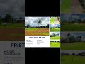 Farm Lot for sale in Alfonso, Cavite | Lot for Sale Near Tagaytay